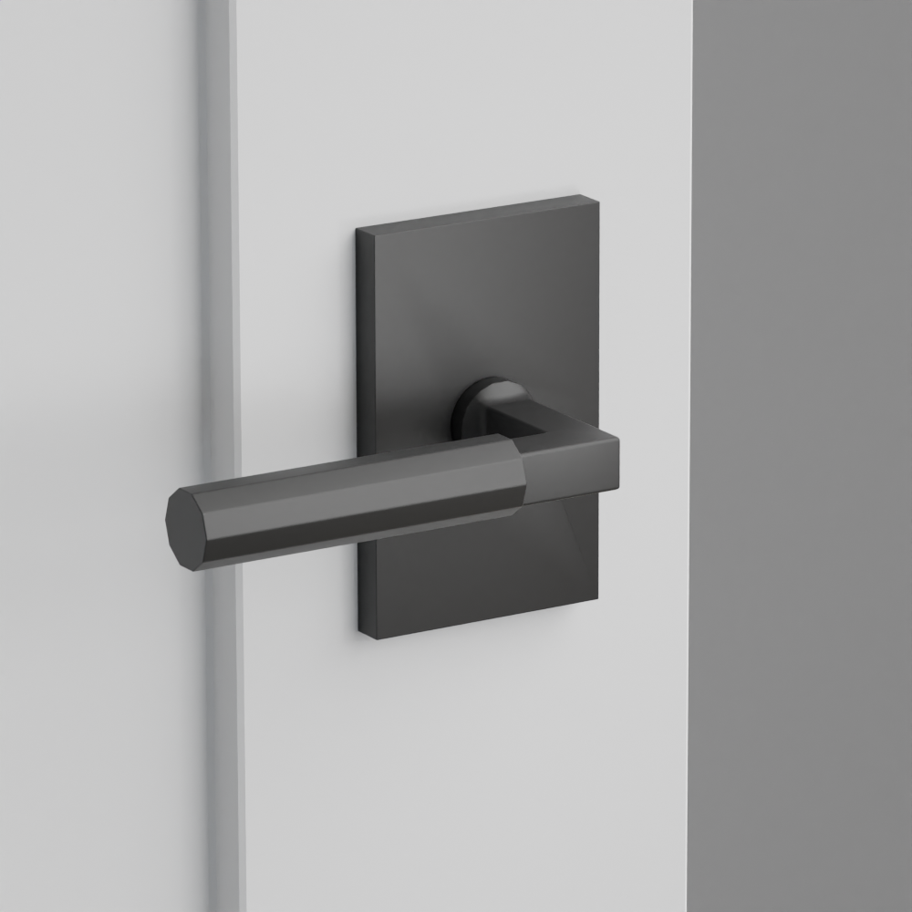 Exterior render - cgrender/InteriorPassagePrivacyDummy/default/h.handle_FA.finish_US19/s.stem_LS.finish_US19/r.rosette_dummy_5052.finish_US19.png