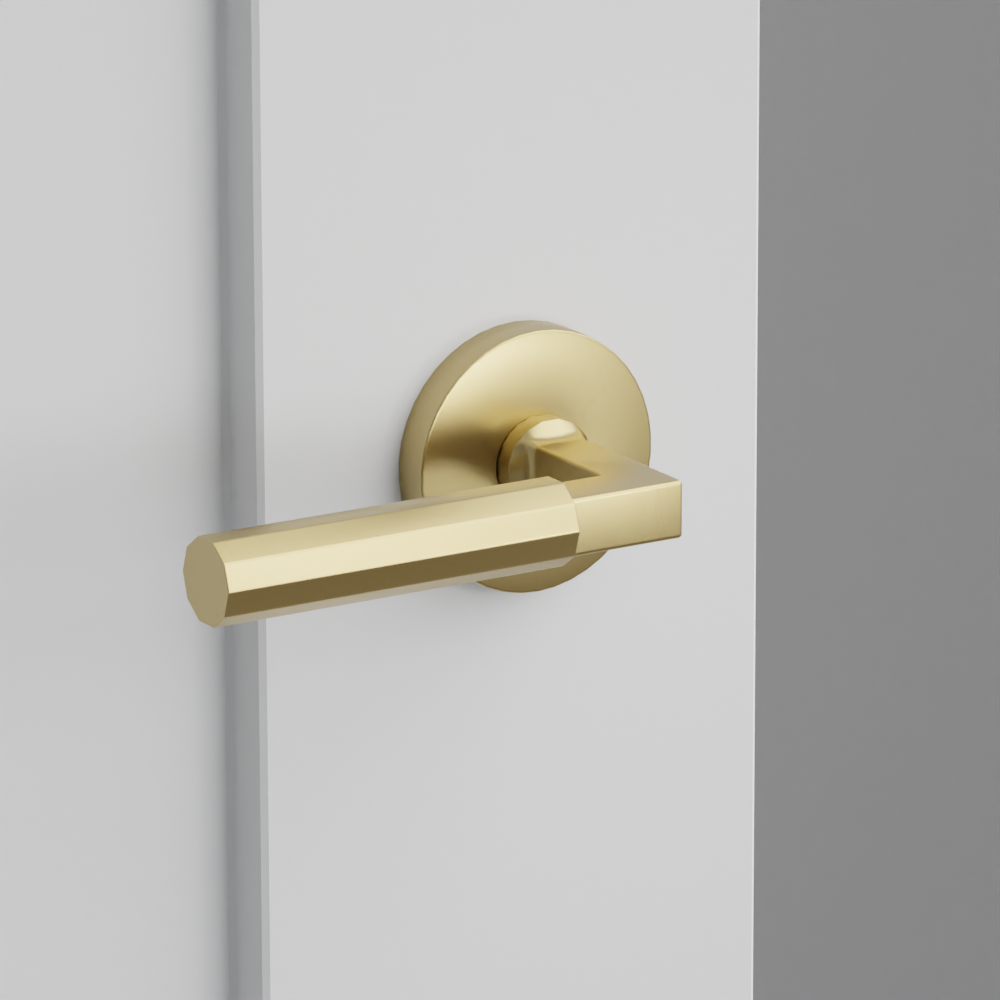 Exterior render - cgrender/InteriorPassagePrivacyDummy/default/h.handle_FA.finish_US4/s.stem_LS.finish_US4/r.rosette_dummy_5059.finish_US4.png