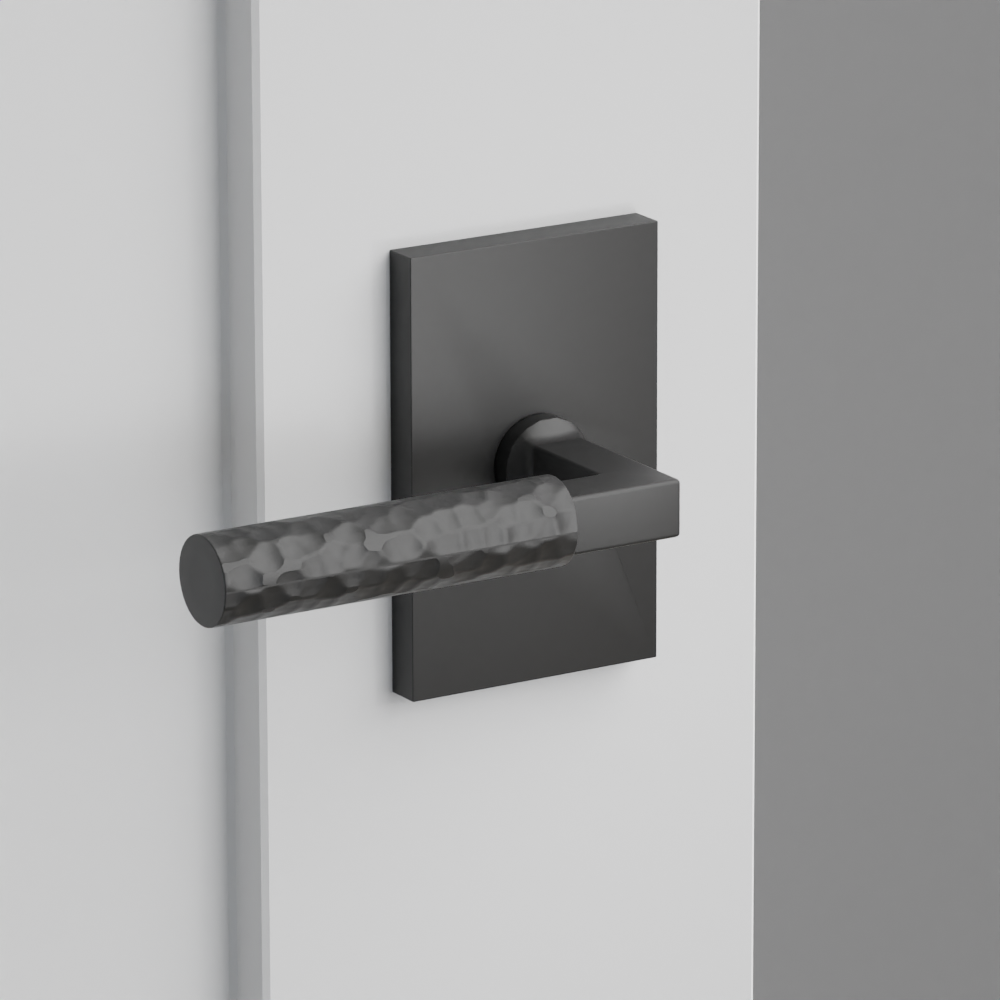 Exterior render - cgrender/InteriorPassagePrivacyDummy/default/h.handle_HA.finish_US19/s.stem_LS.finish_US19/r.rosette_dummy_5052.finish_US19.png