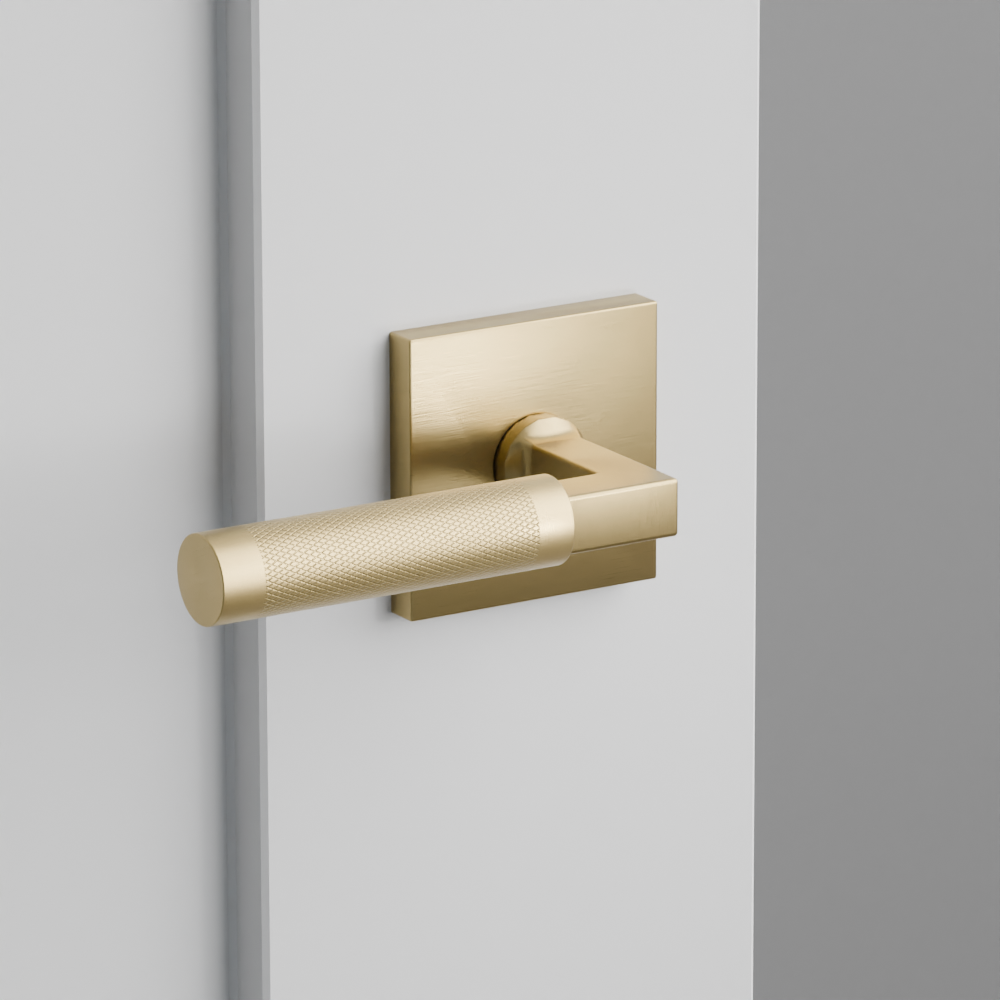 Exterior render - cgrender/InteriorPassagePrivacyDummy/default/h.handle_KN.finish_US4/s.stem_LS.finish_US4/r.rosette_dummy_5050.finish_US4.png