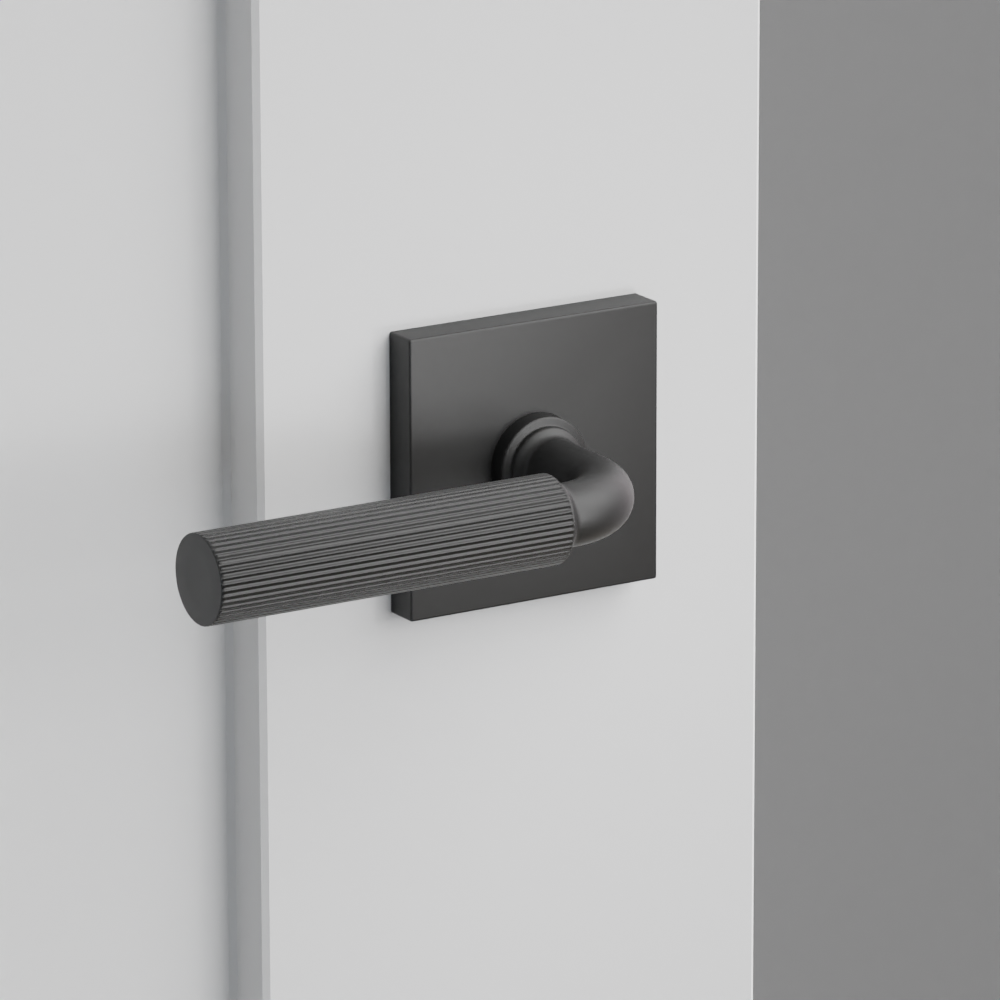Exterior render - cgrender/InteriorPassagePrivacyDummy/default/h.handle_SK.finish_US19/s.stem_RA.finish_US19/r.rosette_dummy_5050.finish_US19.png