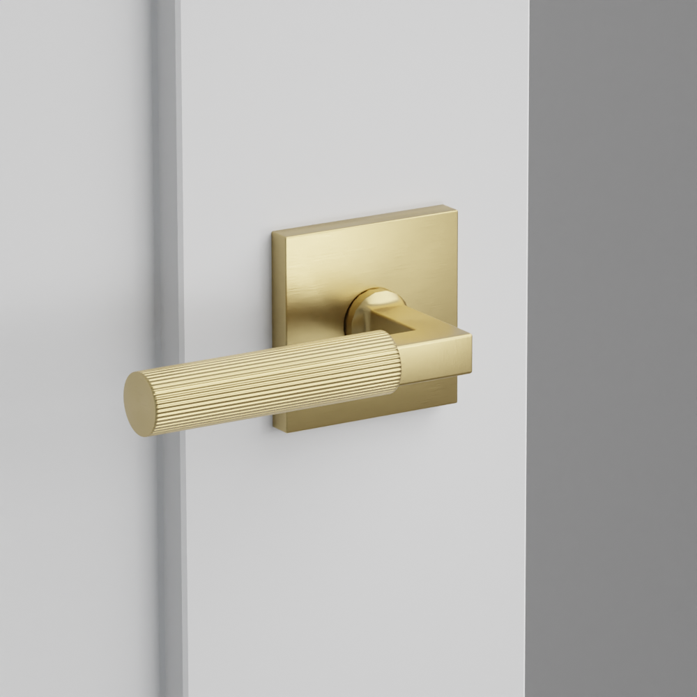 Exterior render - cgrender/InteriorPassagePrivacyDummy/default/h.handle_SK.finish_US4/s.stem_LS.finish_US4/r.rosette_dummy_5050.finish_US4.png