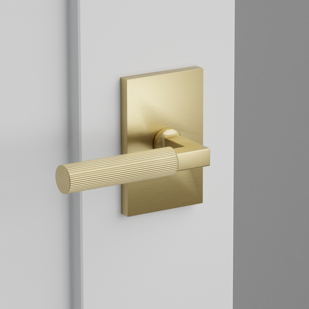 Exterior render - cgrender/InteriorPassagePrivacyDummy/default/h.handle_SK.finish_US4/s.stem_LS.finish_US4/r.rosette_dummy_5052.finish_US4.png