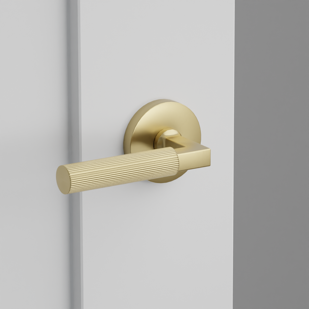 Exterior render - cgrender/InteriorPassagePrivacyDummy/default/h.handle_SK.finish_US4/s.stem_LS.finish_US4/r.rosette_dummy_5059.finish_US4.png