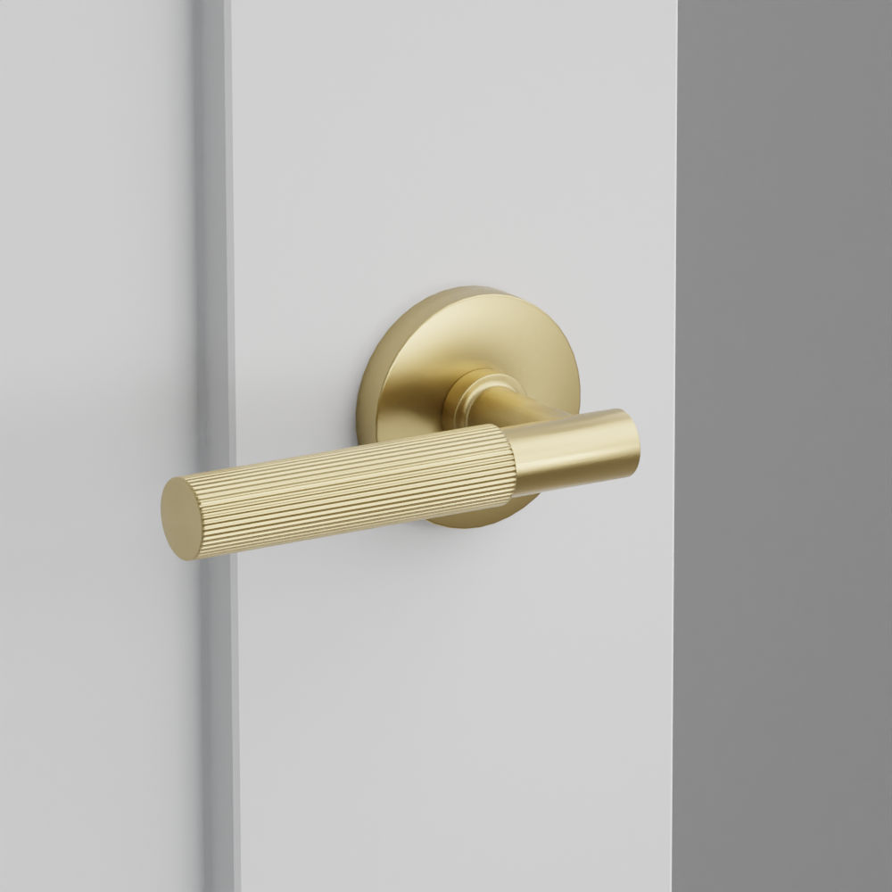 Exterior render - cgrender/InteriorPassagePrivacyDummy/default/h.handle_SK.finish_US4/s.stem_TA.finish_US4/r.rosette_dummy_5059.finish_US4.png