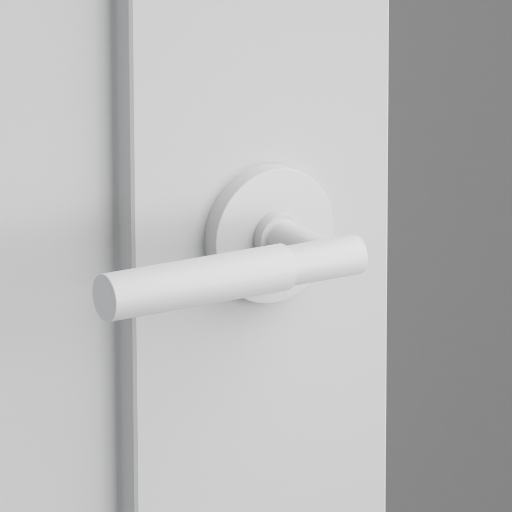 Exterior render - cgrender/InteriorPassagePrivacyDummy/default/h.handle_SM.finish_MW/s.stem_TA.finish_MW/r.rosette_dummy_5059.finish_MW.png