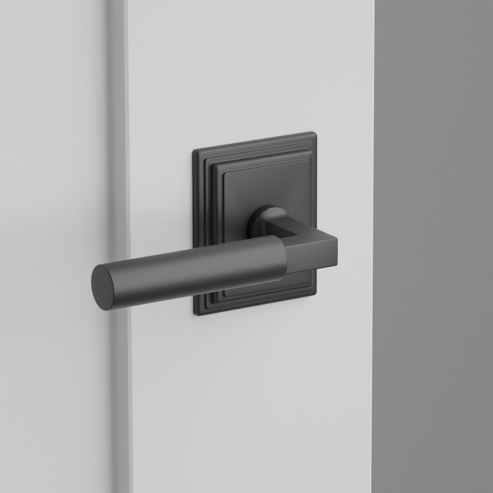 Exterior render - cgrender/InteriorPassagePrivacyDummy/default/h.handle_SM.finish_US19/s.stem_LS.finish_US19/r.rosette_dummy_8561.finish_US19.png
