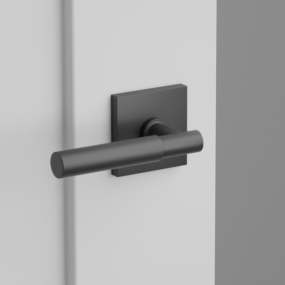 Exterior render - cgrender/InteriorPassagePrivacyDummy/default/h.handle_SM.finish_US19/s.stem_TA.finish_US19/r.rosette_dummy_5050.finish_US19.png