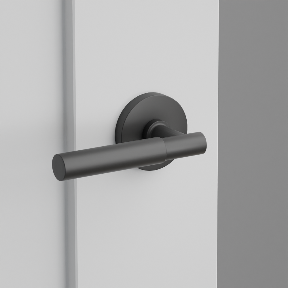 Exterior render - cgrender/InteriorPassagePrivacyDummy/default/h.handle_SM.finish_US19/s.stem_TA.finish_US19/r.rosette_dummy_5059.finish_US19.png