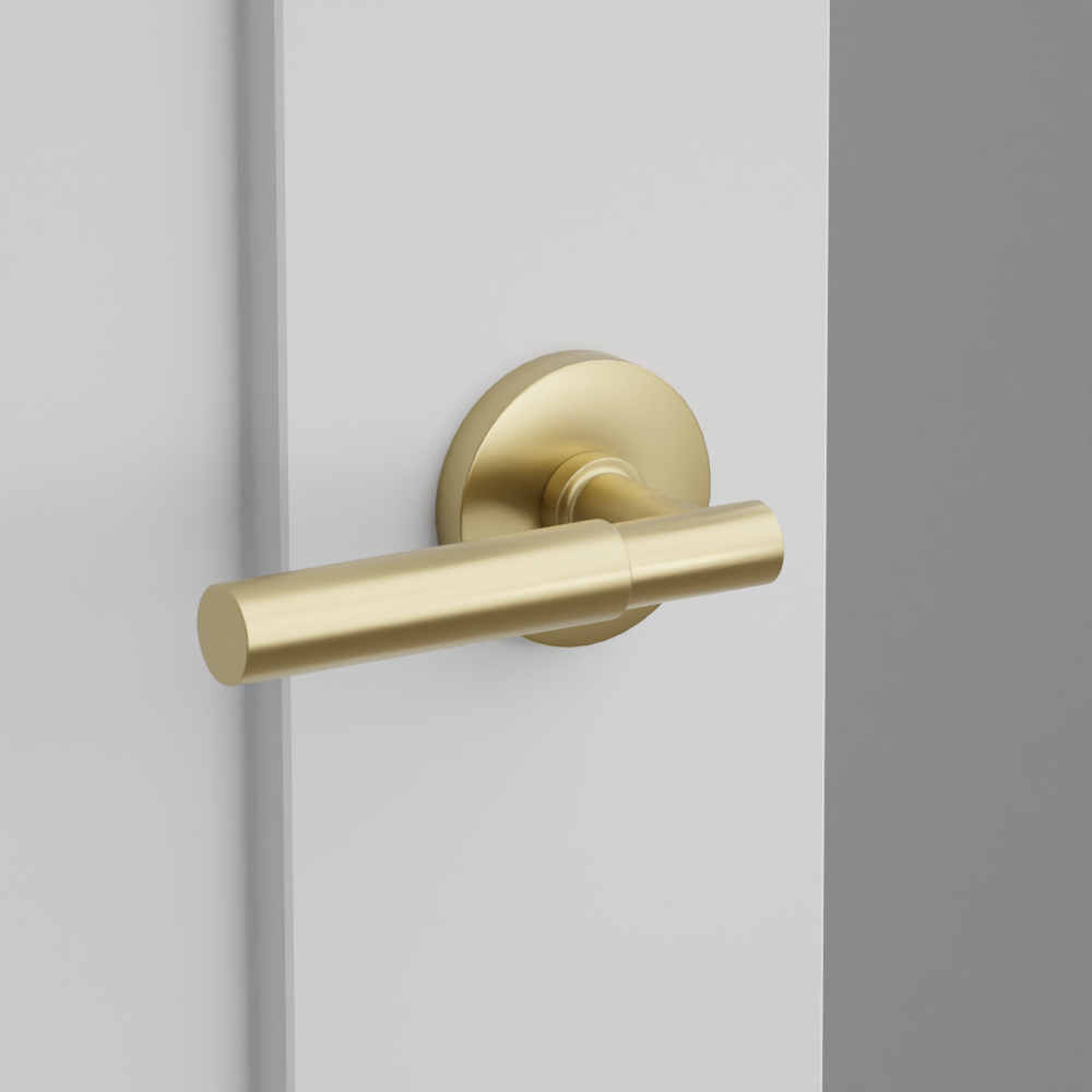Exterior render - cgrender/InteriorPassagePrivacyDummy/default/h.handle_SM.finish_US4/s.stem_TA.finish_US4/r.rosette_dummy_5059.finish_US4.png