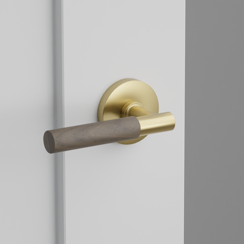 Exterior render - cgrender/InteriorPassagePrivacyDummy/default/h.handle_WNWD.finish_US4/s.stem_TA.finish_US4/r.rosette_dummy_5059.finish_US4.png