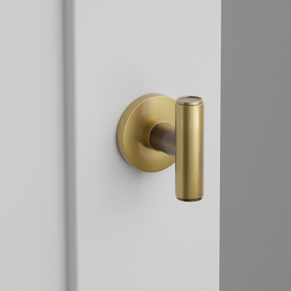 Exterior render - cgrender/InteriorPassagePrivacyDummy/default/h.knob_ACE.finish_US7/r.rosette_dummy_5059.finish_US7.png