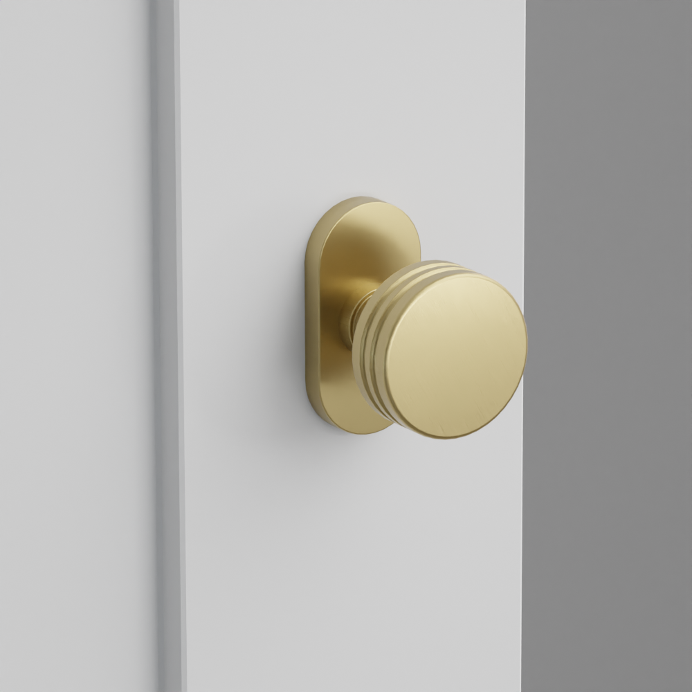 Exterior render - cgrender/InteriorPassagePrivacyDummy/default/h.knob_BN.finish_US4/r.rosette_dummy_5803.finish_US4.png