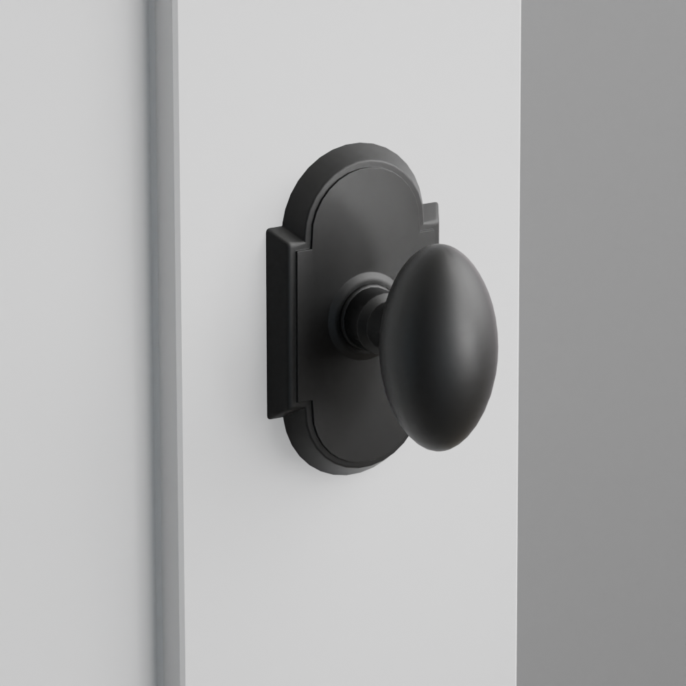Exterior render - cgrender/InteriorPassagePrivacyDummy/default/h.knob_E.finish_US19/r.rosette_dummy_8058.finish_US19.png