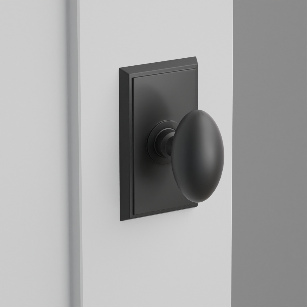 Exterior render - cgrender/InteriorPassagePrivacyDummy/default/h.knob_E.finish_US19/r.rosette_dummy_8521.finish_US19.png
