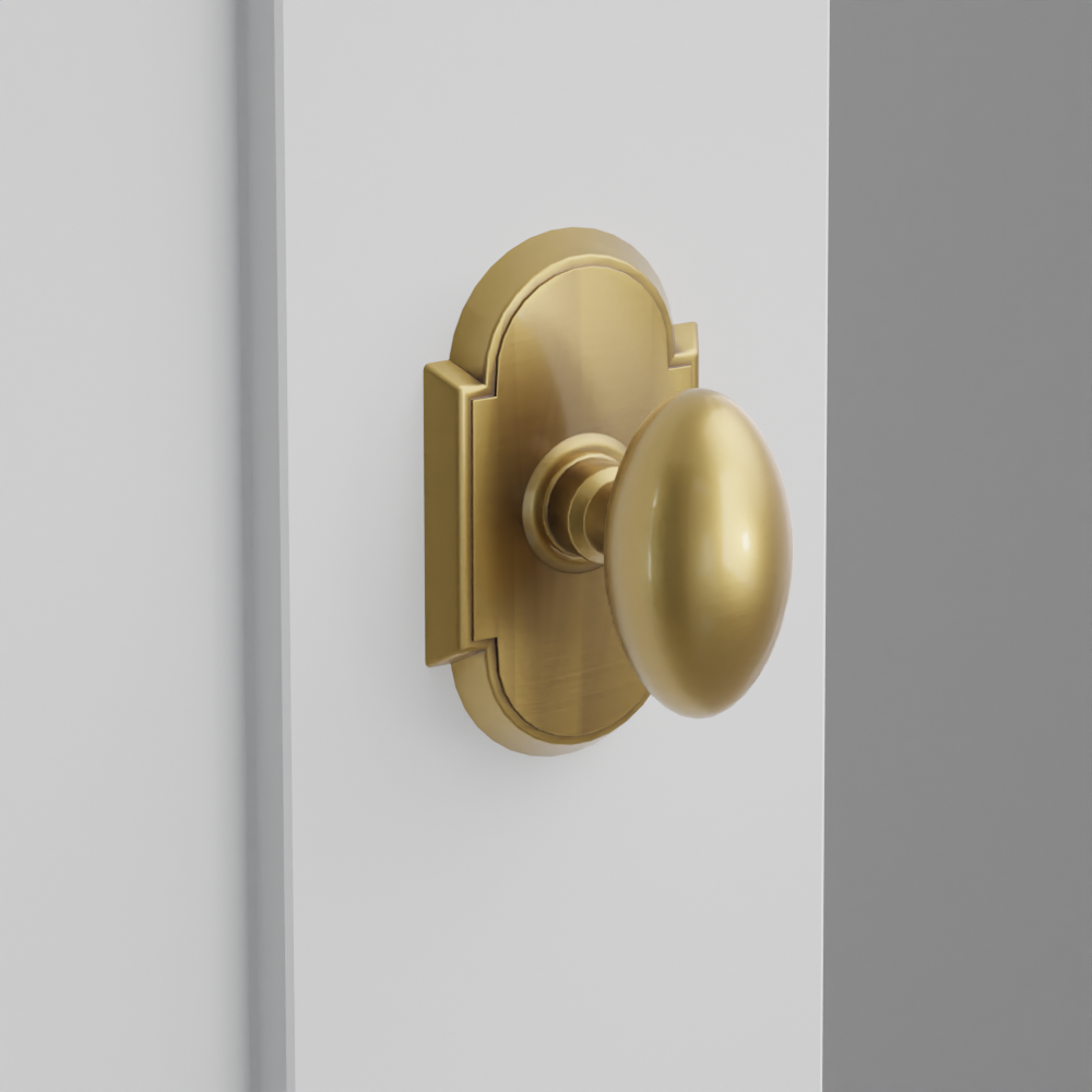 Exterior render - cgrender/InteriorPassagePrivacyDummy/default/h.knob_E.finish_US7/r.rosette_dummy_8058.finish_US7.png