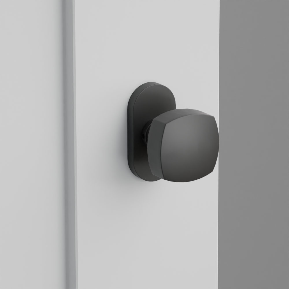 Exterior render - cgrender/InteriorPassagePrivacyDummy/default/h.knob_FRK.finish_US19/r.rosette_dummy_5803.finish_US19.png