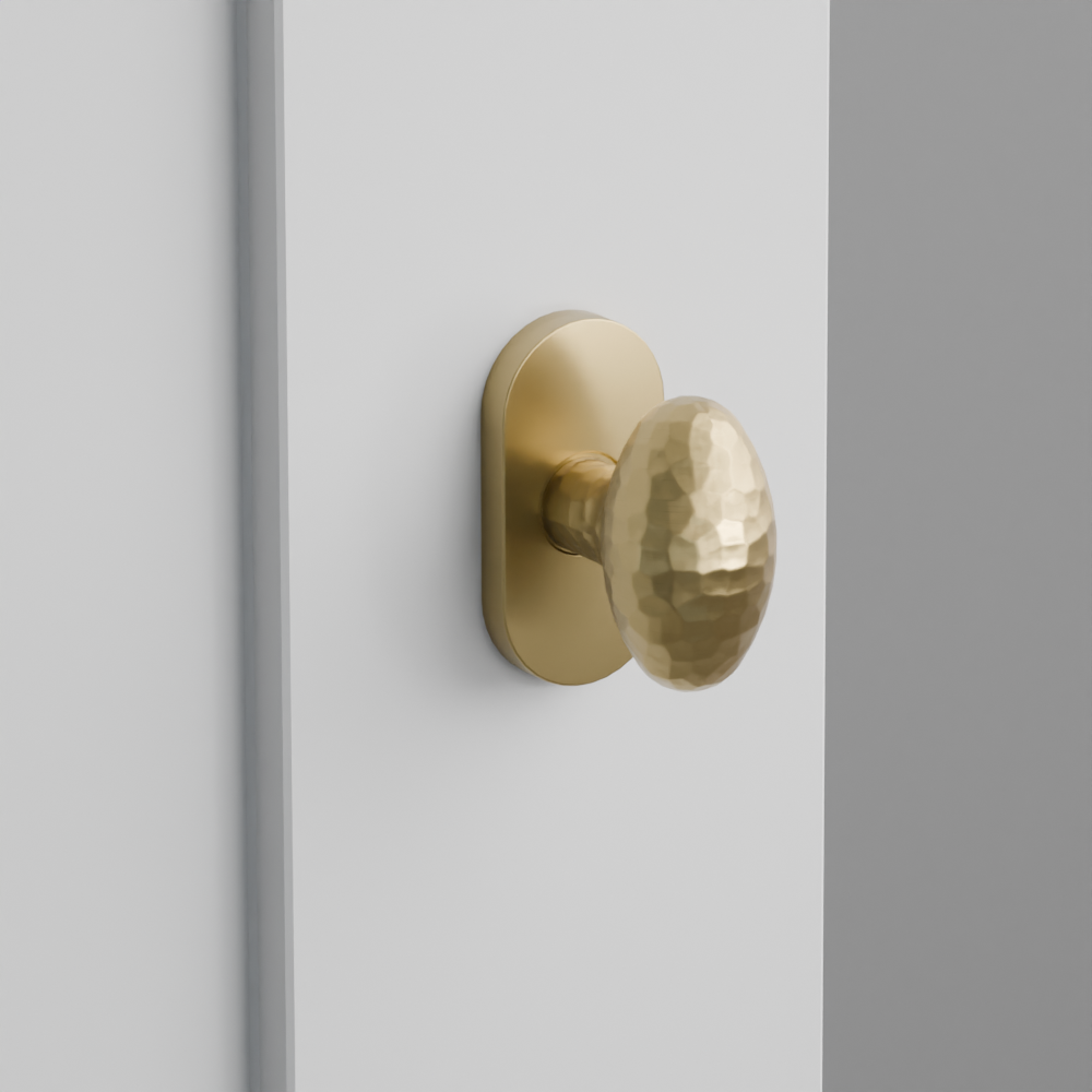 Exterior render - cgrender/InteriorPassagePrivacyDummy/default/h.knob_HE.finish_US4/r.rosette_dummy_5803.finish_US4.png