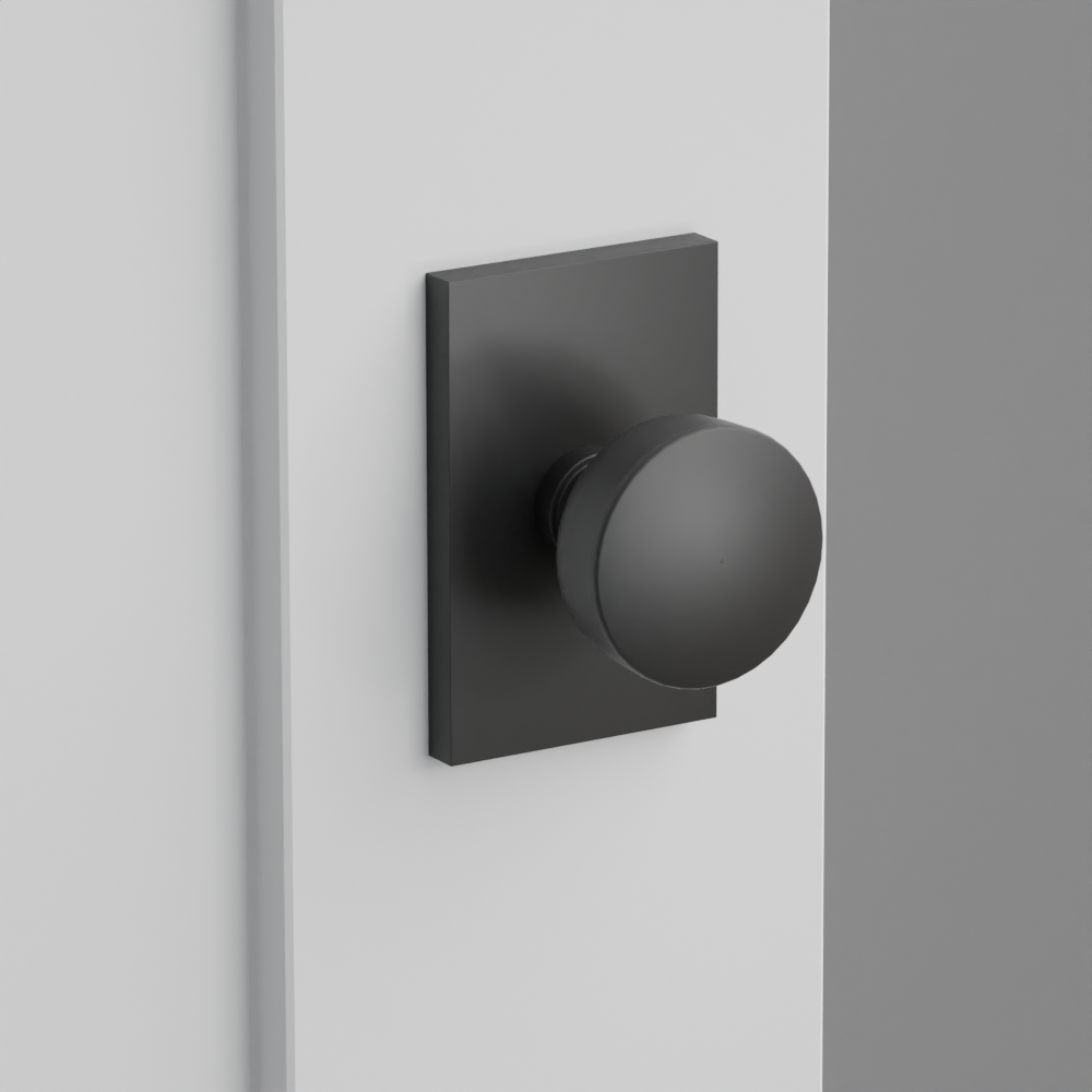 Exterior render - cgrender/InteriorPassagePrivacyDummy/default/h.knob_LAU.finish_US19/r.rosette_dummy_5052.finish_US19.png