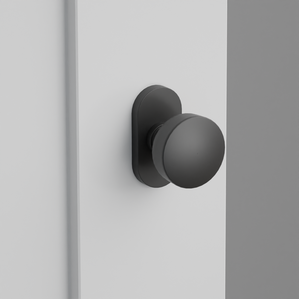 Exterior render - cgrender/InteriorPassagePrivacyDummy/default/h.knob_LAU.finish_US19/r.rosette_dummy_5803.finish_US19.png
