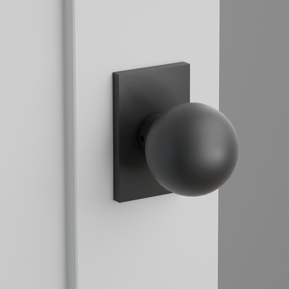 Exterior render - cgrender/InteriorPassagePrivacyDummy/default/h.knob_OR.finish_US19/r.rosette_dummy_5052.finish_US19.png