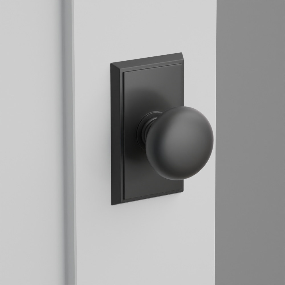 Exterior render - cgrender/InteriorPassagePrivacyDummy/default/h.knob_P.finish_US19/r.rosette_dummy_8521.finish_US19.png