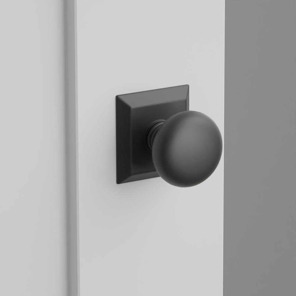 Exterior render - cgrender/InteriorPassagePrivacyDummy/default/h.knob_P.finish_US19/r.rosette_dummy_8531.finish_US19.png