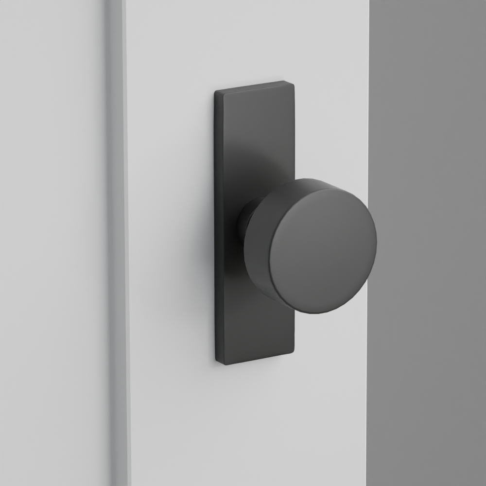 Exterior render - cgrender/InteriorPassagePrivacyDummy/default/h.knob_ROU.finish_US19/r.rosette_dummy_5007.finish_US19.png