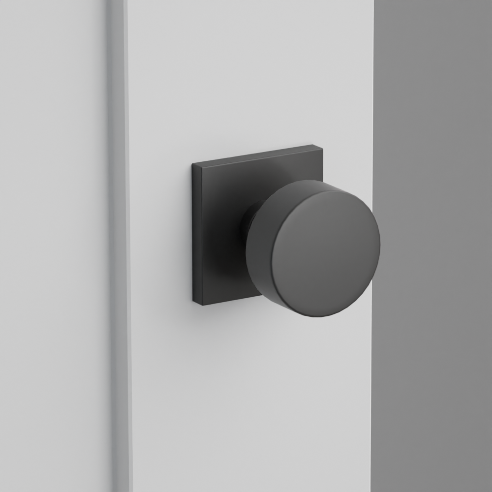 Exterior render - cgrender/InteriorPassagePrivacyDummy/default/h.knob_ROU.finish_US19/r.rosette_dummy_5050.finish_US19.png