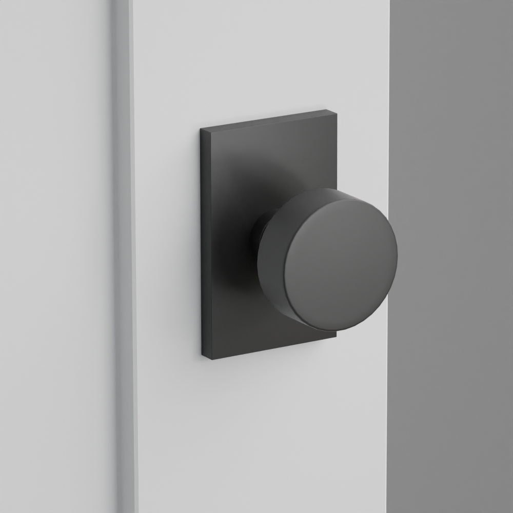 Exterior render - cgrender/InteriorPassagePrivacyDummy/default/h.knob_ROU.finish_US19/r.rosette_dummy_5052.finish_US19.png