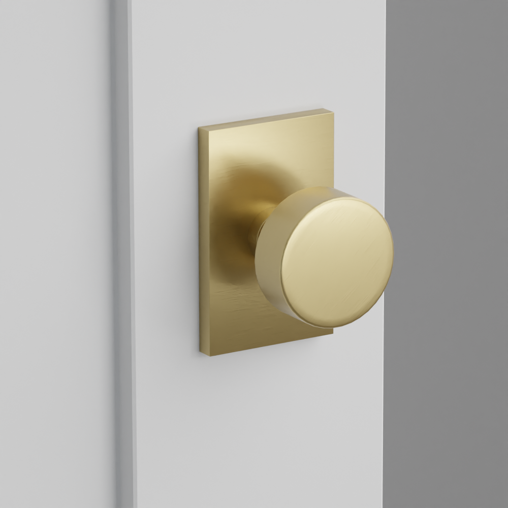 Exterior render - cgrender/InteriorPassagePrivacyDummy/default/h.knob_ROU.finish_US4/r.rosette_dummy_5052.finish_US4.png