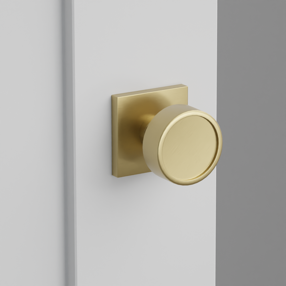 Exterior render - cgrender/InteriorPassagePrivacyDummy/default/h.knob_VR.finish_US4/r.rosette_dummy_5050.finish_US4.png