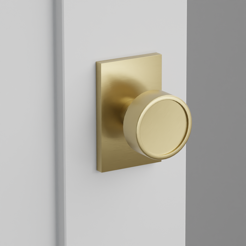 Exterior render - cgrender/InteriorPassagePrivacyDummy/default/h.knob_VR.finish_US4/r.rosette_dummy_5052.finish_US4.png
