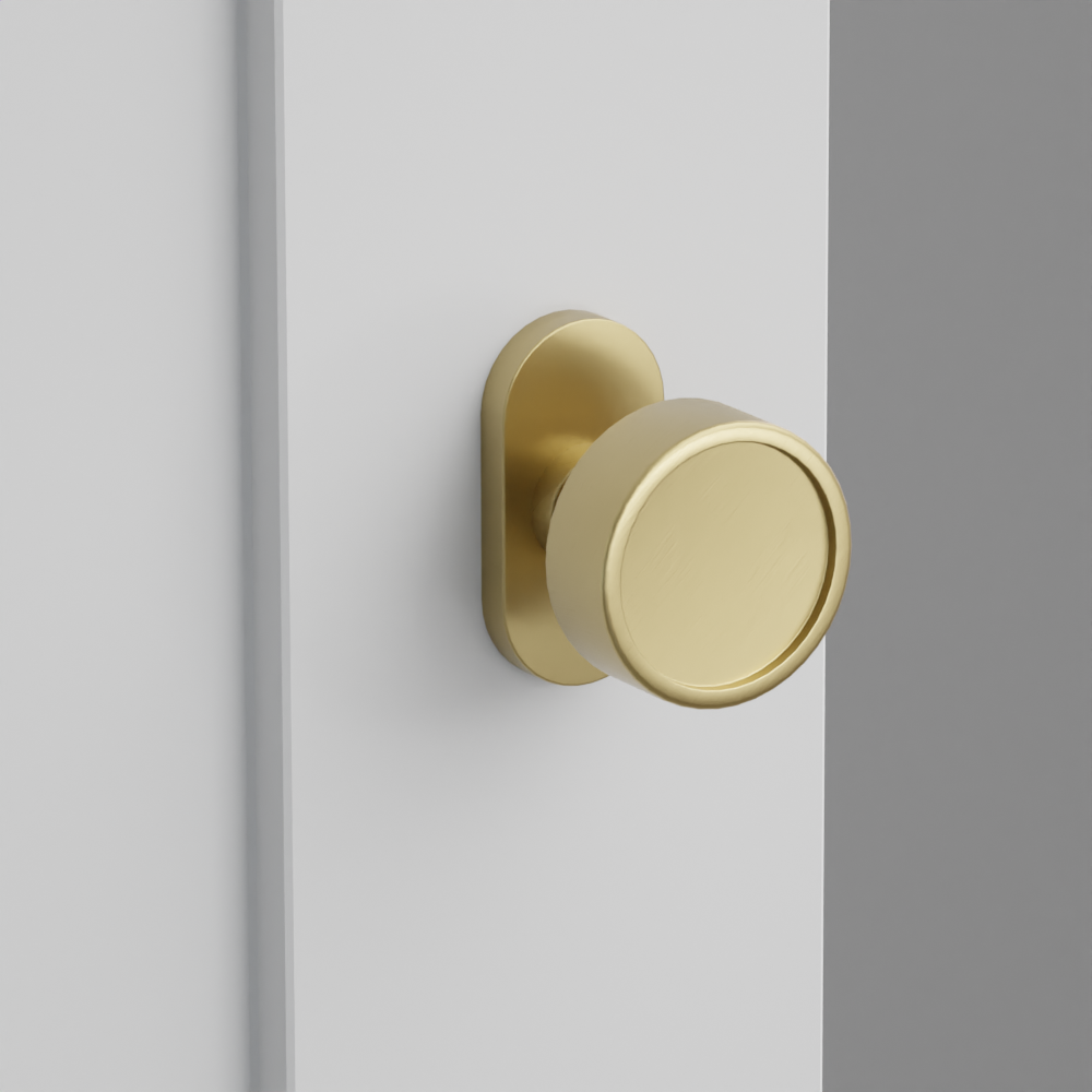 Exterior render - cgrender/InteriorPassagePrivacyDummy/default/h.knob_VR.finish_US4/r.rosette_dummy_5803.finish_US4.png