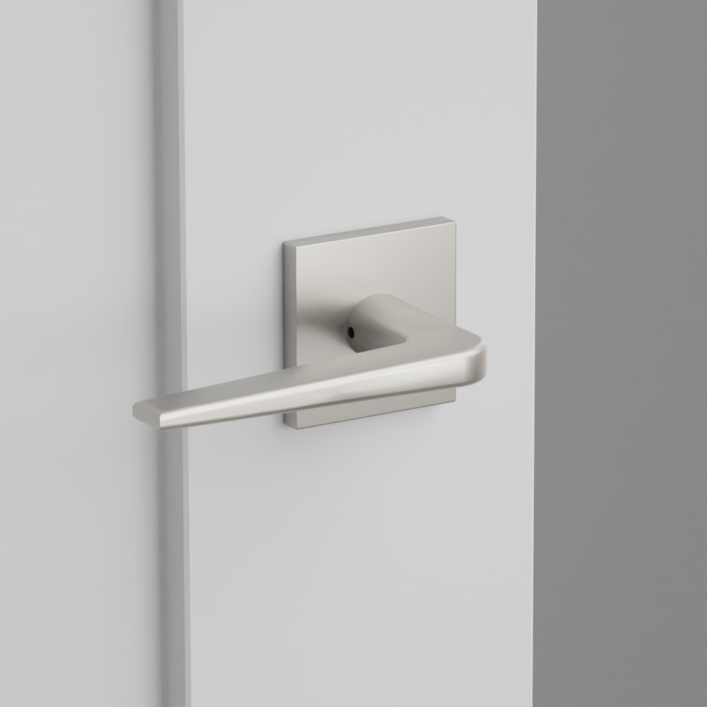 Exterior render - cgrender/InteriorPassagePrivacyDummy/default/h.lever_AT.finish_SS/r.rosette_dummy_S30003.finish_SS.png
