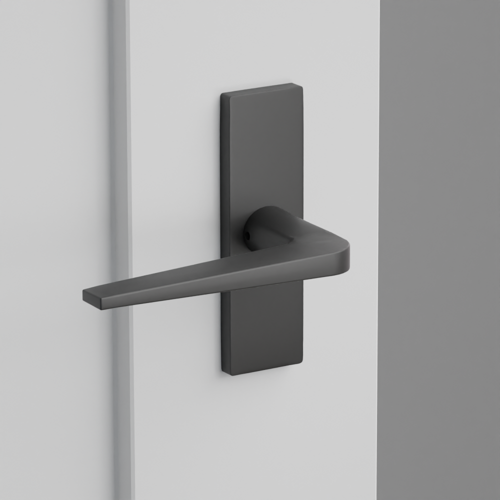 Exterior render - cgrender/InteriorPassagePrivacyDummy/default/h.lever_ATN.finish_US19/r.rosette_dummy_5007.finish_US19.png