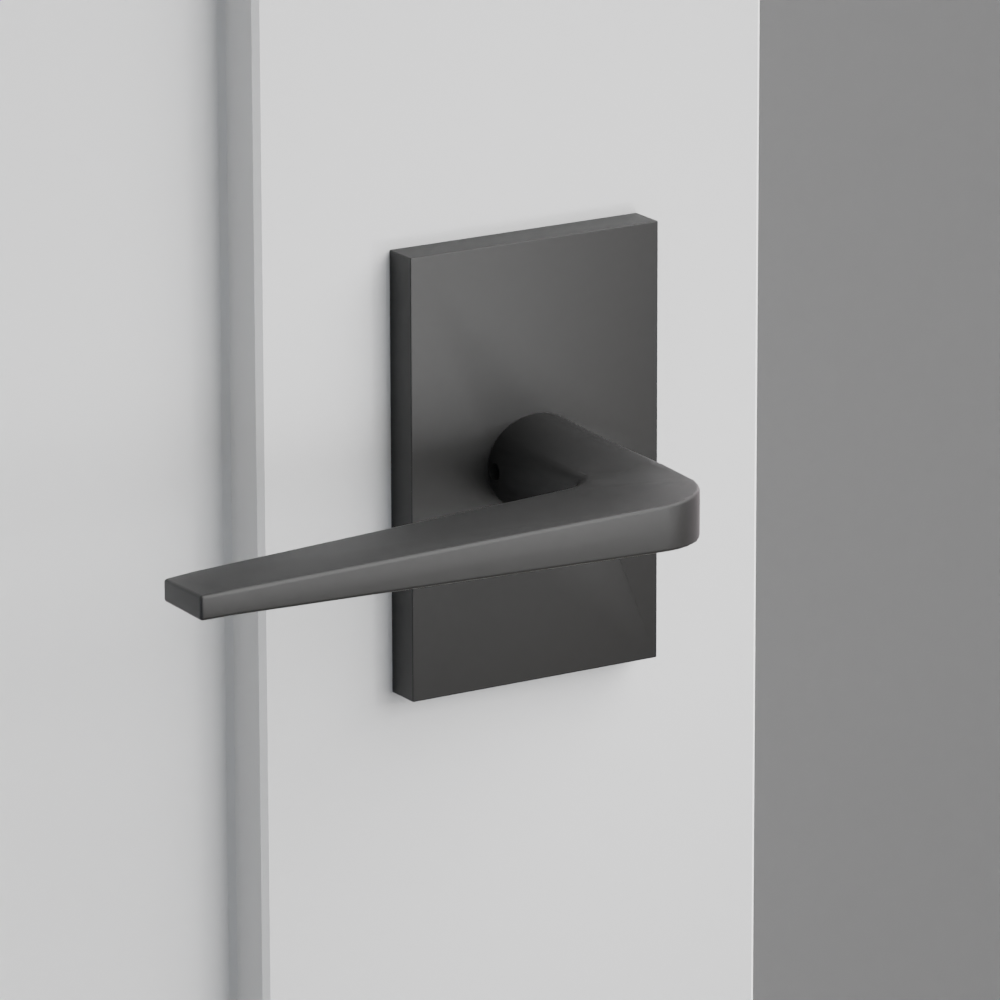 Exterior render - cgrender/InteriorPassagePrivacyDummy/default/h.lever_ATN.finish_US19/r.rosette_dummy_5052.finish_US19.png