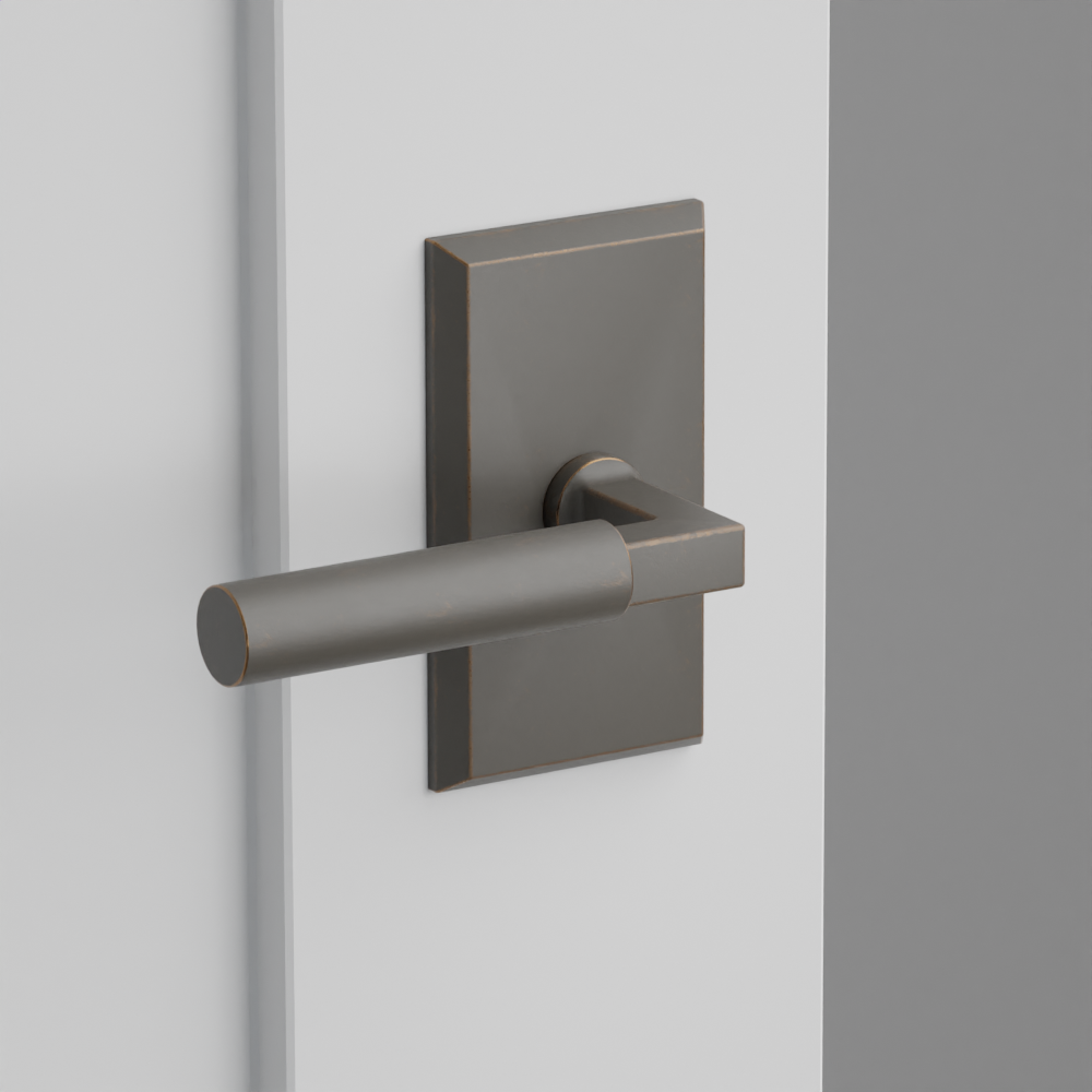 Exterior render - cgrender/InteriorPassagePrivacyDummy/default/h.lever_BR.finish_FB/r.rosette_dummy_7054.finish_FB.png