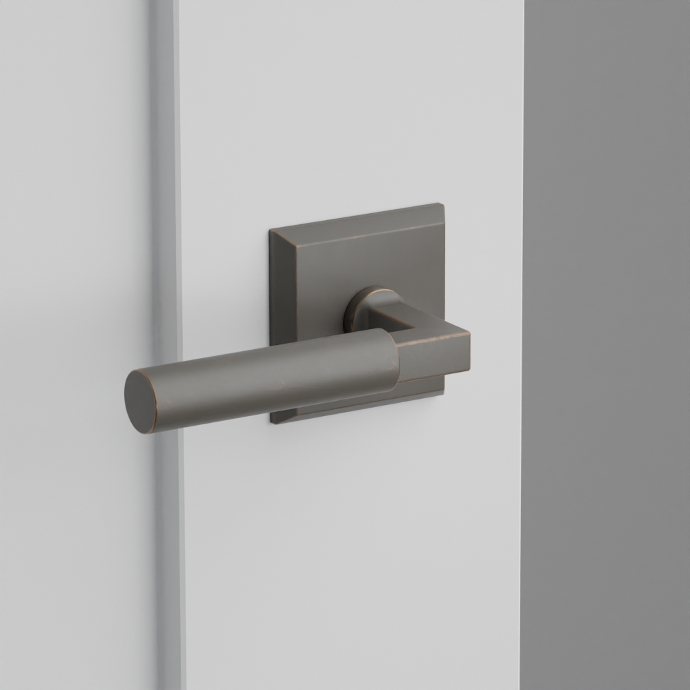 Exterior render - cgrender/InteriorPassagePrivacyDummy/default/h.lever_BR.finish_FB/r.rosette_dummy_7061.finish_FB.png