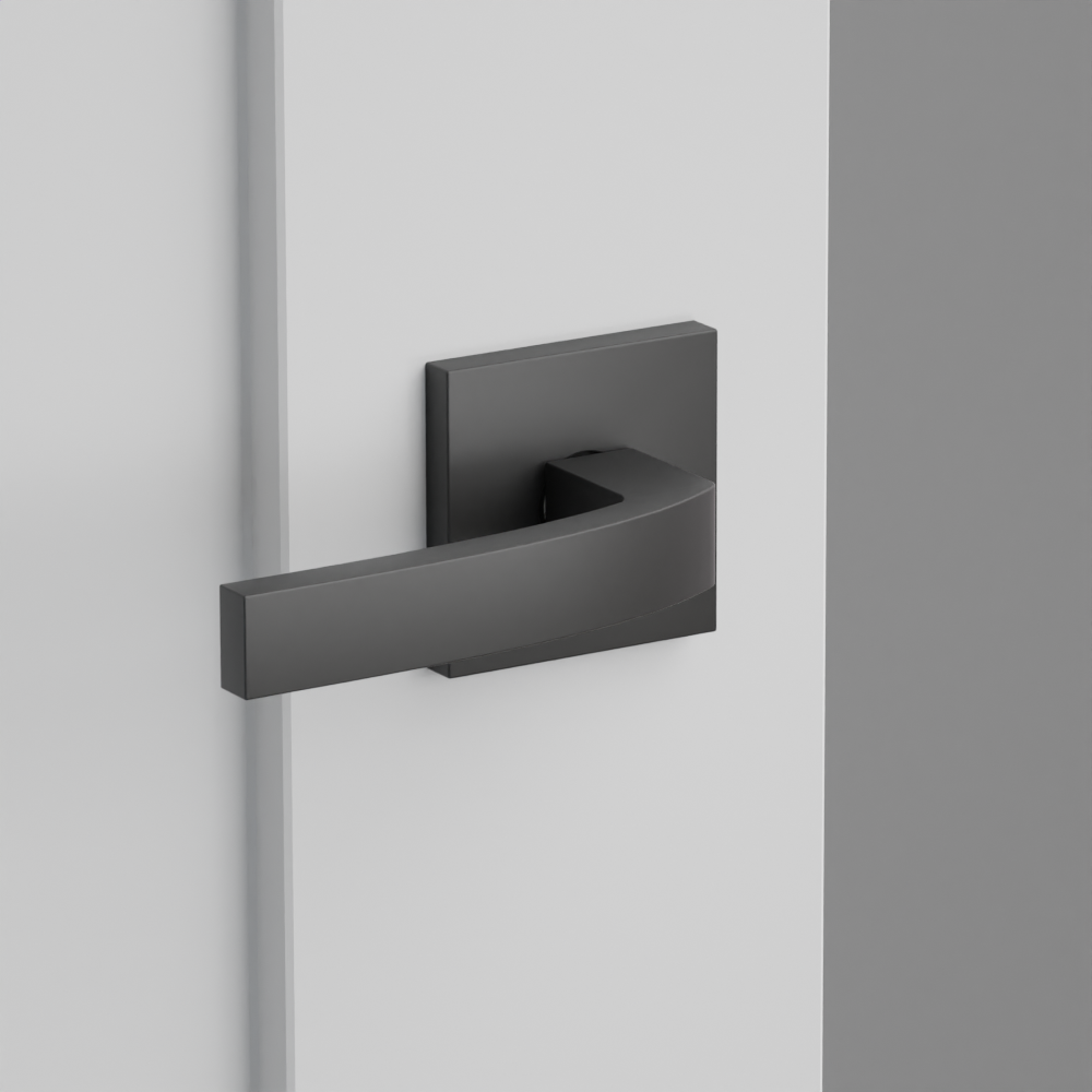 Exterior render - cgrender/InteriorPassagePrivacyDummy/default/h.lever_BRL.finish_US19/r.rosette_dummy_5050.finish_US19.png