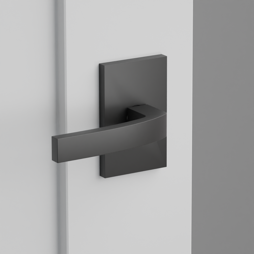 Exterior render - cgrender/InteriorPassagePrivacyDummy/default/h.lever_BRL.finish_US19/r.rosette_dummy_5052.finish_US19.png