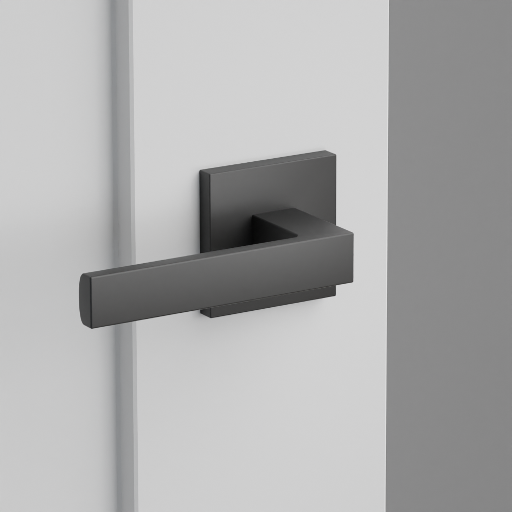 Exterior render - cgrender/InteriorPassagePrivacyDummy/default/h.lever_DT.finish_US19/r.rosette_dummy_5050.finish_US19.png