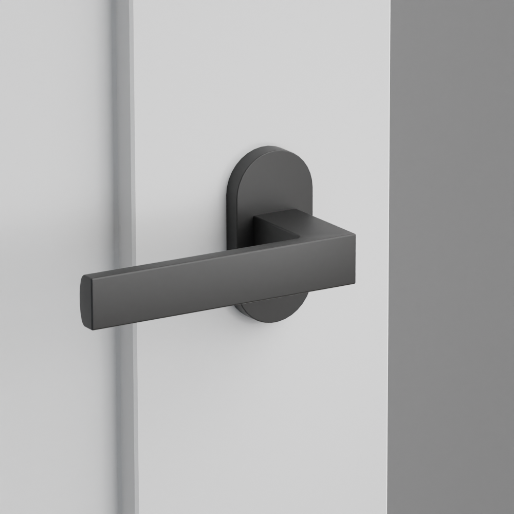 Exterior render - cgrender/InteriorPassagePrivacyDummy/default/h.lever_DT.finish_US19/r.rosette_dummy_5803.finish_US19.png