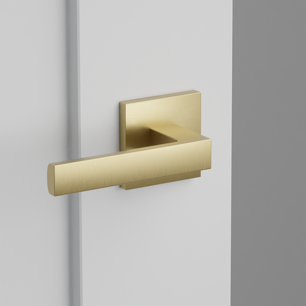 Exterior render - cgrender/InteriorPassagePrivacyDummy/default/h.lever_DT.finish_US4/r.rosette_dummy_5050.finish_US4.png