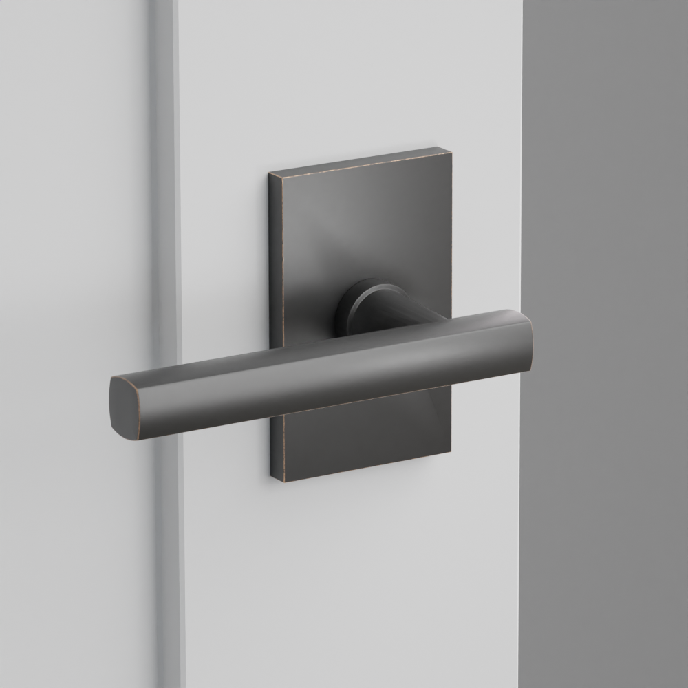 Exterior render - cgrender/InteriorPassagePrivacyDummy/default/h.lever_FRL.finish_US10B/r.rosette_dummy_5052.finish_US10B.png