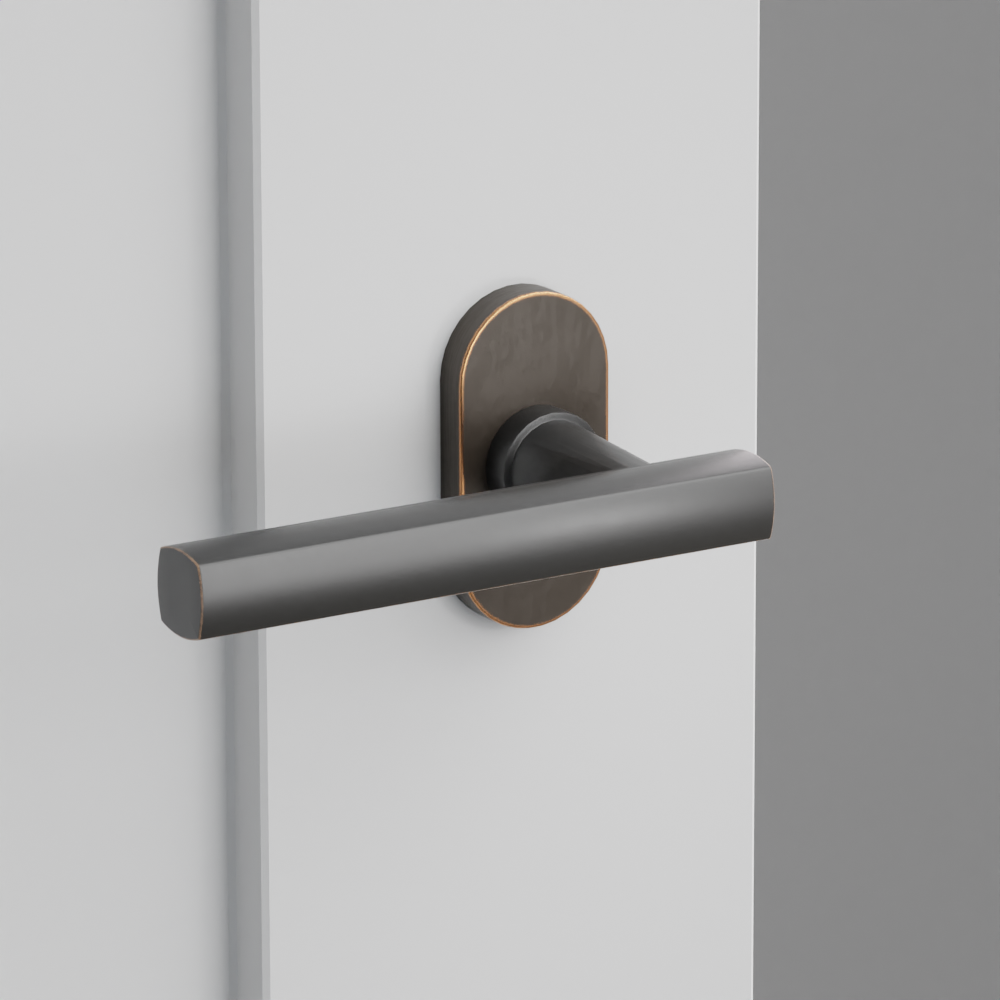 Exterior render - cgrender/InteriorPassagePrivacyDummy/default/h.lever_FRL.finish_US10B/r.rosette_dummy_5803.finish_US10B.png