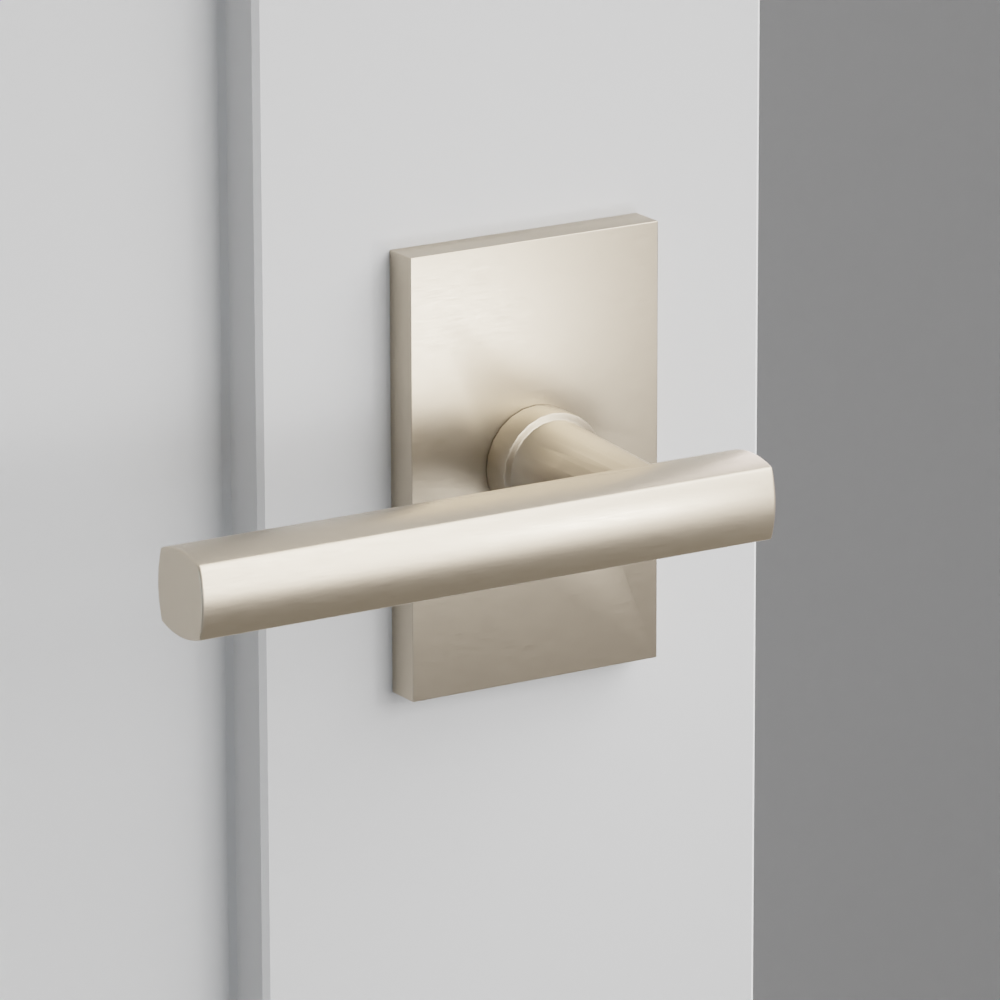 Exterior render - cgrender/InteriorPassagePrivacyDummy/default/h.lever_FRL.finish_US15/r.rosette_dummy_5052.finish_US15.png