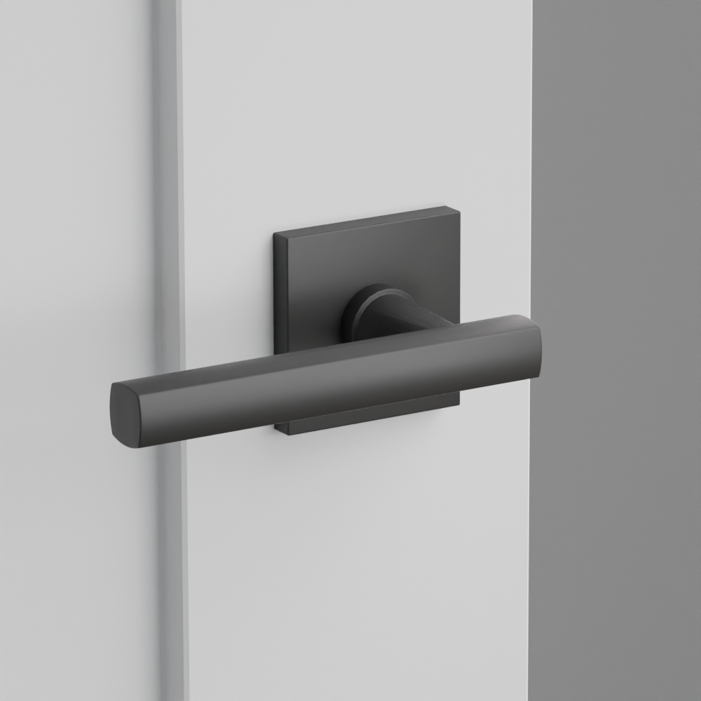 Exterior render - cgrender/InteriorPassagePrivacyDummy/default/h.lever_FRL.finish_US19/r.rosette_dummy_5050.finish_US19.png