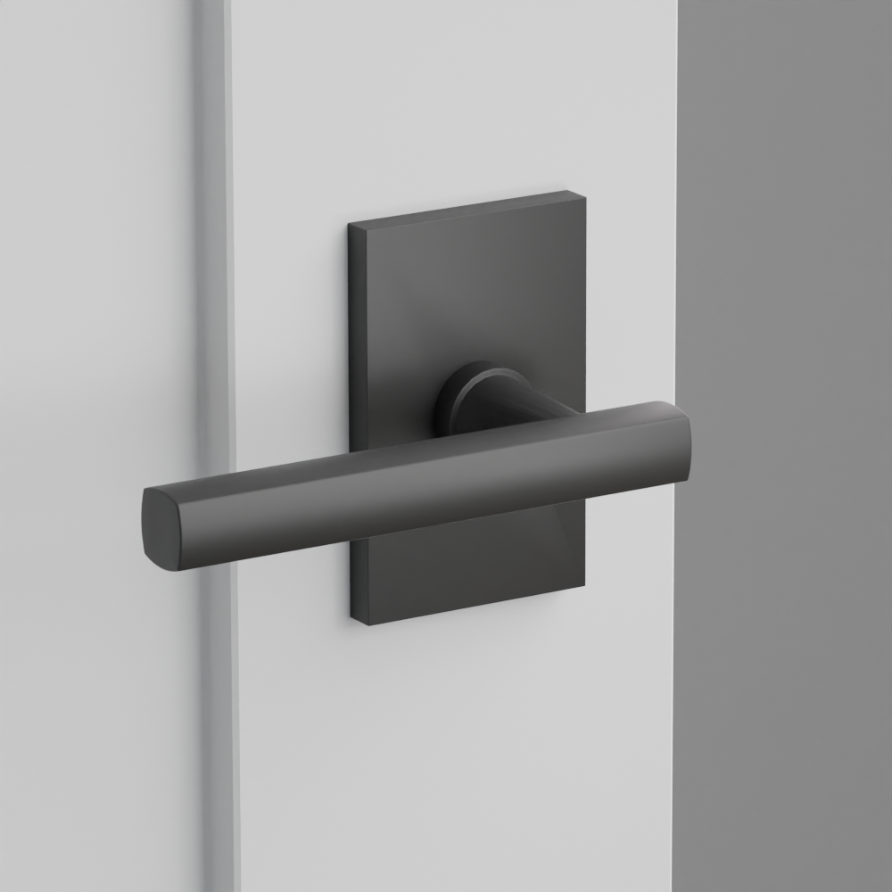 Exterior render - cgrender/InteriorPassagePrivacyDummy/default/h.lever_FRL.finish_US19/r.rosette_dummy_5052.finish_US19.png