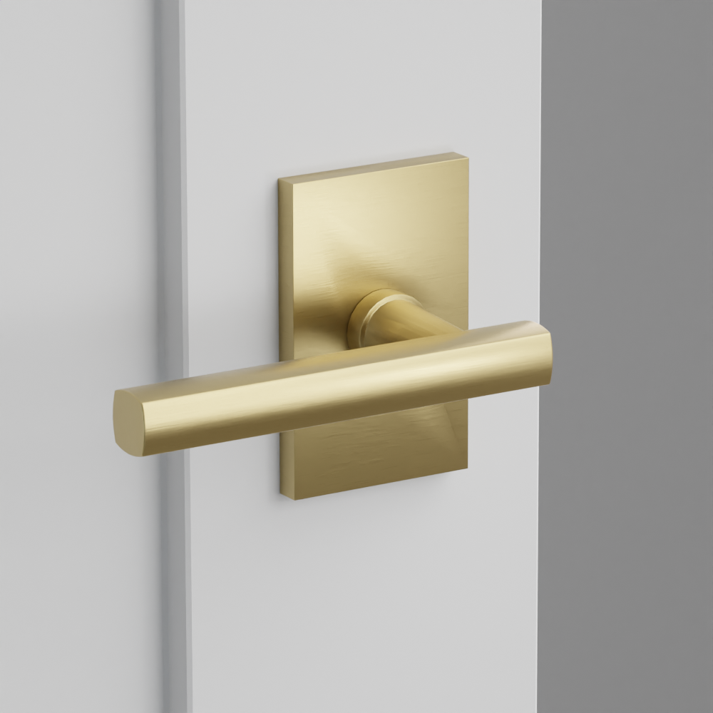 Exterior render - cgrender/InteriorPassagePrivacyDummy/default/h.lever_FRL.finish_US4/r.rosette_dummy_5052.finish_US4.png